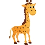 zebra