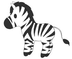 zebra