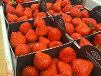 07/05/2025 Fruitdag