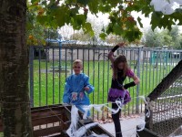 21/10/2023: Onze ouderraad organiseerde een gezinsactiviteit: halloween