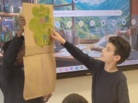 3A: spreekbeurten 'Mijn stamboom'