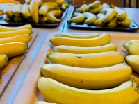 6/09/2023: Ouderraad: We trakteren met een eerste fruitdag: bananen