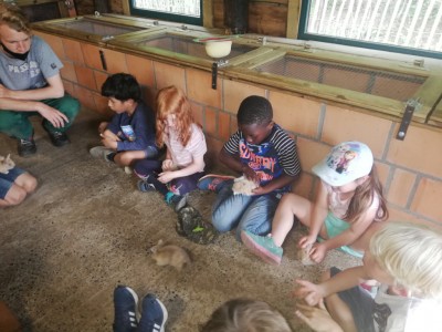 IMG 20210604 130708