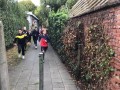IMG 0541