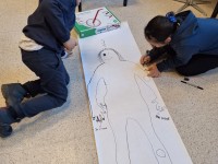 AN klas: We leren over het lichaam!
