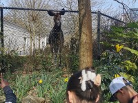 Bezoek aan de Zoo