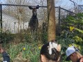 img 20250321