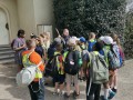img 20250321