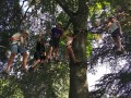 img 20260625