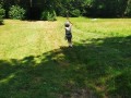 img 20260625