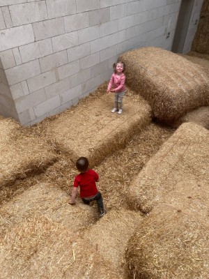 image00007