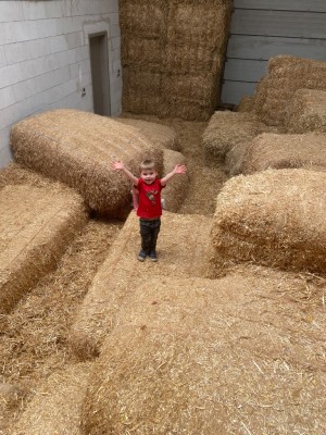 image00010