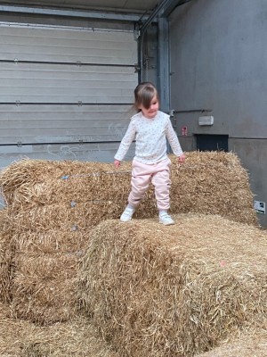 image00018