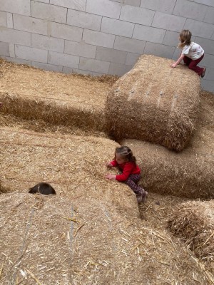 image00022