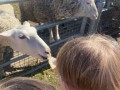 image00047