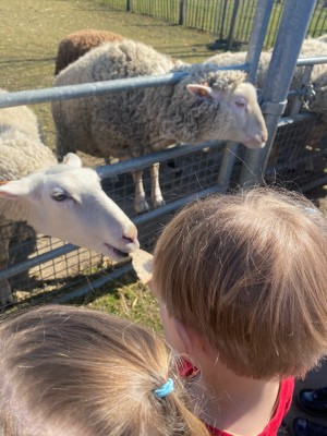 image00047