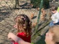 image00053
