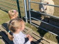 image00057
