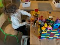 img 0211