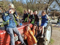 Leeruitstap - Kinderboerderij Mikerf