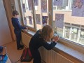 img 20250226
