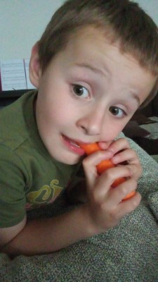 img wa0002
