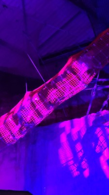 20250624