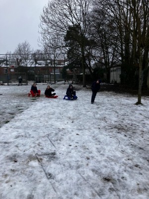 whatsapp image 2026 02 12 at 13.26.54 